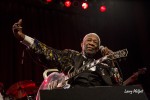 File Photo: The legendary BB King, in performance in Southern Indiana, 2013. Used with Permission. (Photo Credit: Larry Philpot)